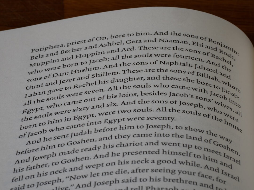 red herring clue in book